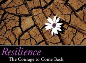 Resilience The Courage to Come Back